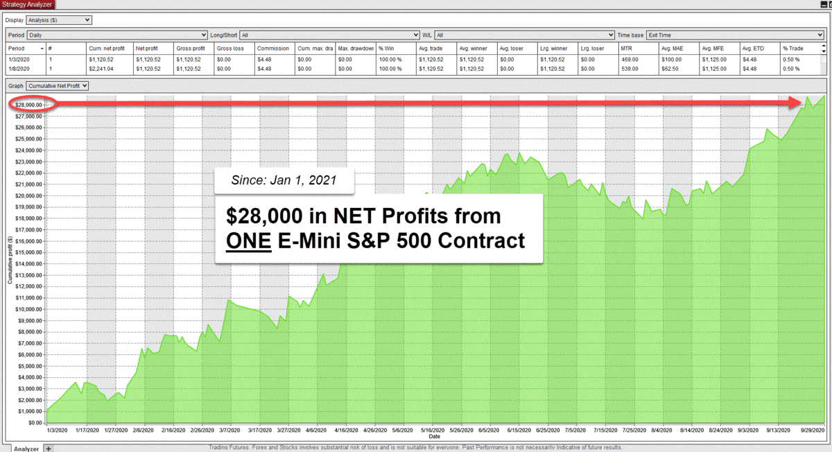 OmniProfit Visualizer